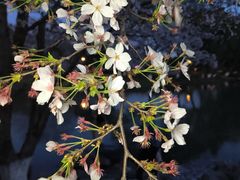 -玄武湖景区-情侣园游乐场