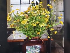 -翠田Green Field Kitchen