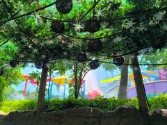 -苏州乐园森林水世界