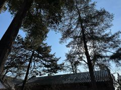 -潭柘寺景区