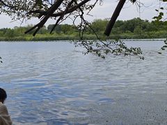 -东湖落雁景区