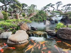 -罗红摄影艺术馆