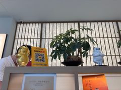 -长风拨筋养身(金虹桥店)