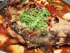 -川味堂·四川豆花(八卦岭店)