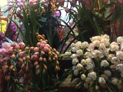 -双季花艺园艺市场(浦东店)