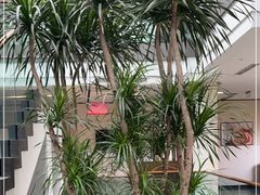 -旺顺阁鱼头泡饼(小红门店)