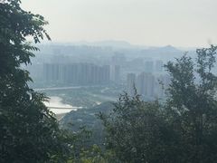 -茶颜悦色(岳麓山顶店)