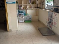 -深圳野生动物园宠物医院(西湖林语店)