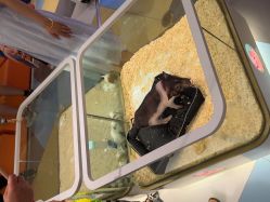 点击看大图 -meland亲子乐园•派对•研学(苏州悠方购物中心店)