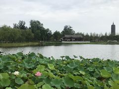 -西海子公园