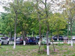 -白鹭湾湿地公园