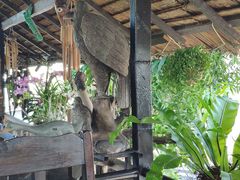 -自然餐厅(Phuket)