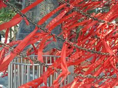 -北海金海湾红树林生态旅游区