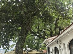 -澳门圣地牙哥古堡酒店