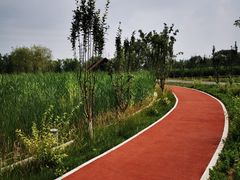 -永定河休闲森林公园