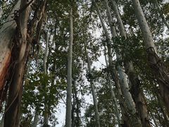 -汕头莲花山度假村温泉