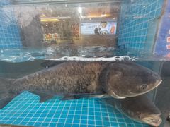 -浔味·山屿湖·正宗淳牌全鱼宴老字号