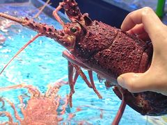 -徐记海鲜(大雁塔|金都店)