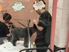 -FAELING PETS美天灵宠物(合生汇店)