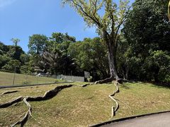 -槟城植物园