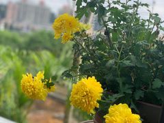 -松山湖南湖湾露营营地