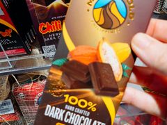 -尼诺伊·阿基诺国际机场T1航站楼