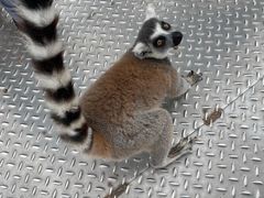 -泉州海丝野生动物世界