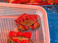 -潮汕首席·大排档(天河员村店)