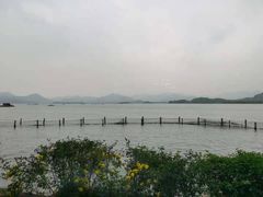 -湖畔居茶楼(湖滨店)