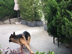 -Geneva日内瓦餐厅(西郊宝成花苑店)