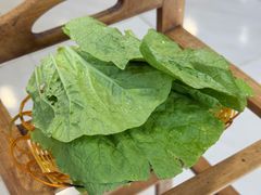 -草墩罗非鱼庄•野生菌•腊排骨(七星街上段店)