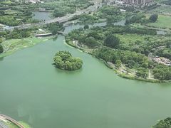 -嘉定凯悦·咖啡厅