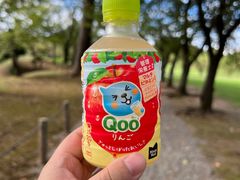 -水前寺成趣园