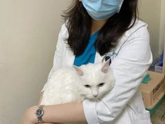 -美联众合动物医院·24h转诊中心