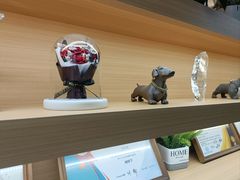 -派联宠物医院·24h·CT·异宠
