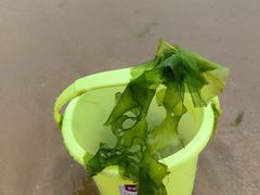 -青岛金沙滩