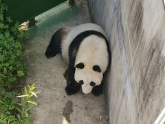 -沈阳森林动物园