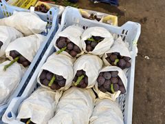 -西郊国际农产品交易中心