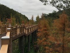 -神光山国家森林公园