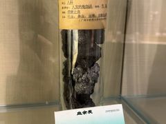-广东中医药博物馆