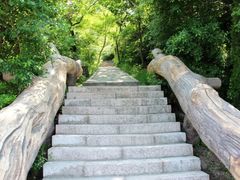 -大连金龙寺国家森林公园-售票处