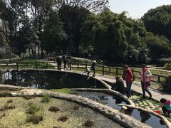-成都市活水公园