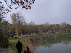 -堤角公园