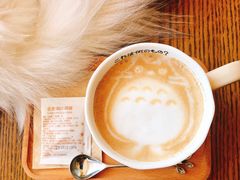 -猫的茶·猫咖