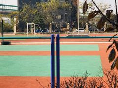 -山东省青岛第二中学(江西路分校)