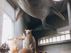 大堂-自然博物馆新馆2楼餐厅