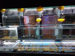 -苏淮景·苏闽融创菜·海鲜(原空港井河轩店)