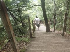 -陕西省红河谷森林公园