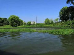 -长兴太湖图影湿地文化园