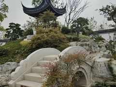 -上海滨江森林公园